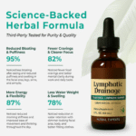 Lymphatic Drainage Wellness Drops - Image 3